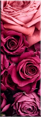 "VINTAGE MAGENTA ROSES"