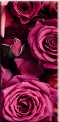 "VINTAGE MAGENTA ROSES"